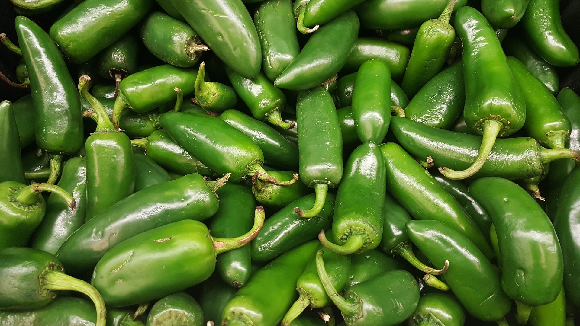 What can I do with jalapenos from my garden?