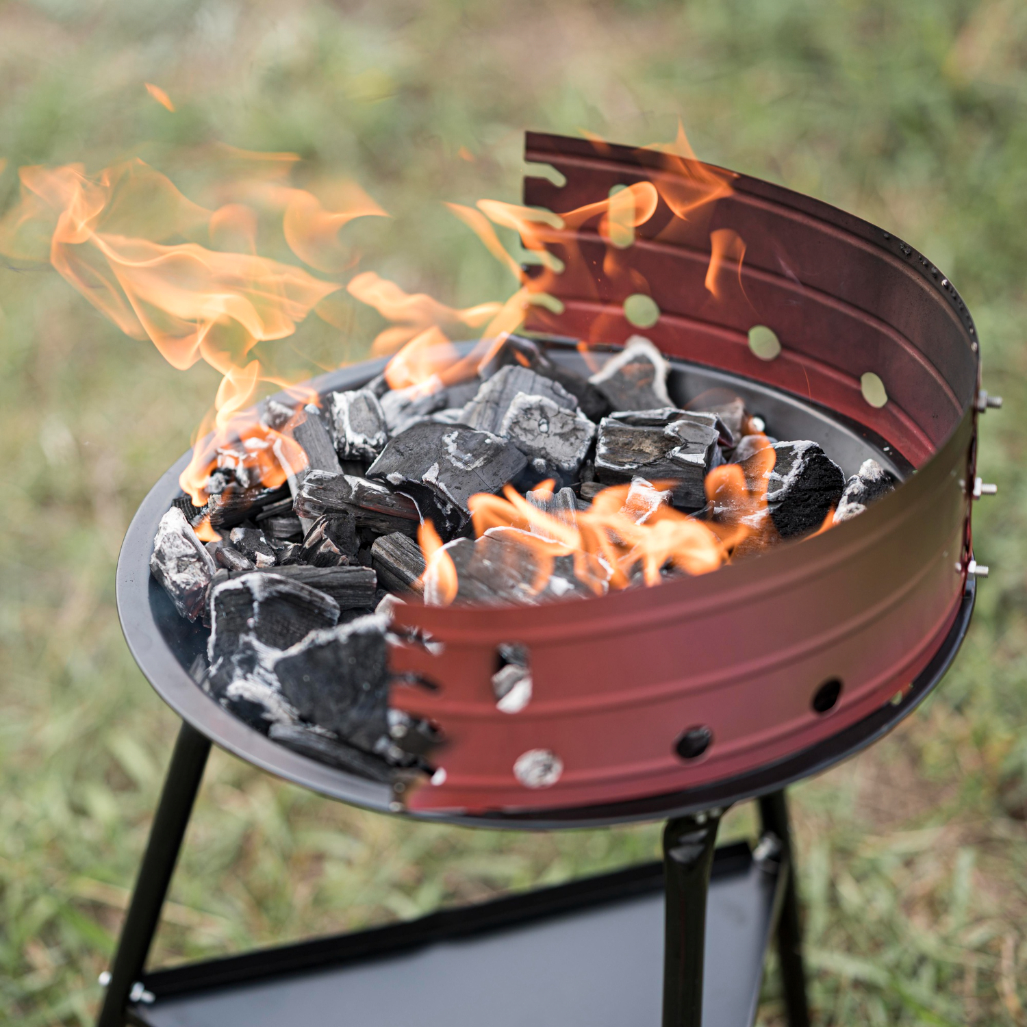 ninja woodfire grill recipes