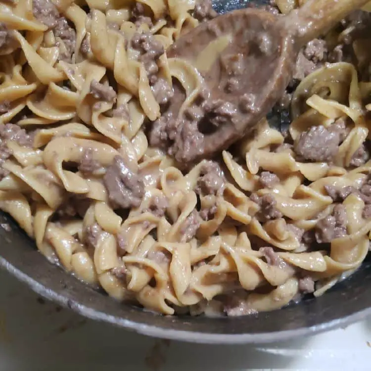 French Onion Beef and Noodles Recipe