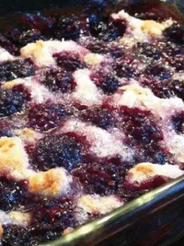 Homemade Kentucky Blackberry Cobbler